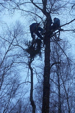 Ивановцы «свили» гнезда для краснокнижных птиц